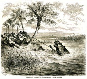 Jakt på floden Teoghe, biflod till Ngami. Flodhästharpun. Gravyr av Gustave Dore som illustrerar "les aventures et chasse du voyageur Charles-Jean Anderson dans l