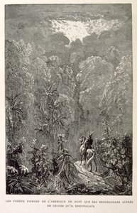 Illustration av amerikansk skog. från La legende de Croque-Mitaine. av Gustave Dore