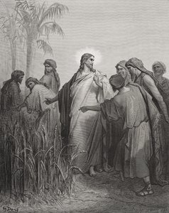 Jesus och hans lärjungar i majsfältet, illustration från Dores 