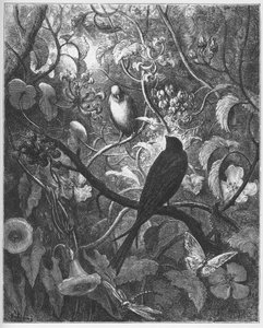 Philomele och Progne - från "Fables" av Jean de La Fontaine av Gustave Dore