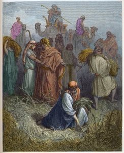 Rut och Boaz (Boaz) - Rut arbetar på Boas (Boas) fält (Rut och Boas) - - gravyr i "The Bible illustree" av Gustave Dore (1832-1883) - Gravyr från "" The Dore Bible"" av Gustave Dore