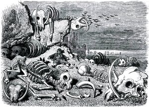 Sindbad sjömannen (Sinbad) - berättelsen om de tusen och en (1001) nätterna - illustration av Gustave Dore - utgåva Maxwell 1865 - Sjunde och sista resan: elefanternas kyrkogård där Sindbad ska återfå elfenbensförsvaret av Gustave Dore
