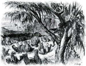 Sindbad sjöfararen (Sinbad) - berättelsen om de tusen och en (1001) nätterna - illustration av Gustave Dore - edition Maxwell 1865 - Sjunde resan: Sindbad, sittande i ett träd, drar med sin båge på elefanter av Gustave Dore