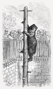 "Björngropen - Zoologiska trädgårdar", 1872. av Gustave Dore