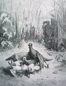 Lärkans fabel, hennes unga och fältets mästare, illustration till fablerna om La Fontaine rnrn av Gustave Dore