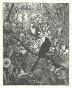 La Fontaines fabler: Philomel och Progne (gravyr) av Gustave Dore