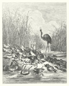 La Fontaines fabler: Grodorna som bad om en kung (gravyr) av Gustave Dore
