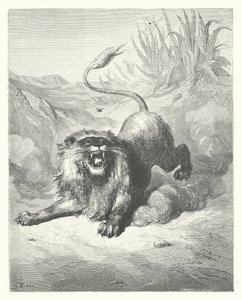 La Fontaines fabler: Lejonet och myggan (gravyr) av Gustave Dore