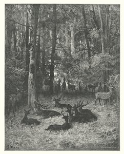 La Fontaines fabler: Den sjuka hjorten (gravyr) av Gustave Dore