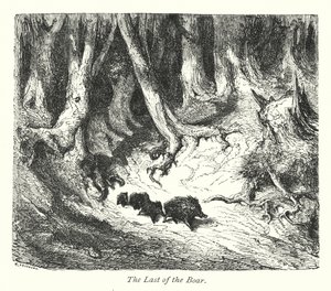 Den sista av vildsvin (gravyr) av Gustave Dore