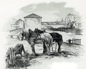 Horses de haulage, quai de la Gironde, Villette (hästar som används för att bogsera båtarna i kanalen saint-denis, quai de la gironde, Villette Paris) Teckning av Gustave Fraipont (1849-1923) från Saint-Juirs av Gustave Fraipont
