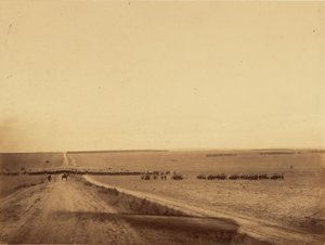 [Kavalleriets manövrar, Camp de Chalons] av Gustave Le Gray