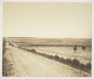Manövrar, Camp de Châlons, 1857. av Gustave Le Gray