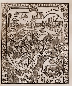 Herdekalender - Månadernas arbete - Juli - Träsnitt från boken från 1496 tryckt av Guy Marchant (Guido Mercator) i Troyes - Hay, la coupe des hay - Gravyr sur bois i "" Le grand Calendrier et compost des shepherds"" - av Guy Marchant