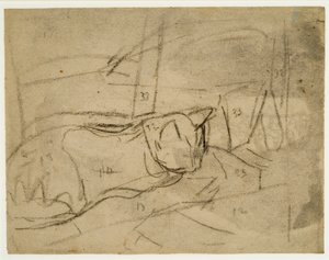 Studier av katter (kol på papper) av Gwen John