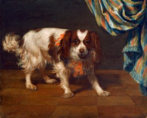 En King Charles Spaniel (olja på panel) av Gysbert van de Kuyl