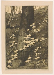 Svamp i en skog Höst (originaltitel) av H.C. Spruit (signed by artist)