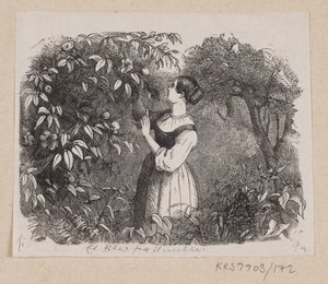 Illustration till "A Leaf from Heaven" i H.C. Andersen, "Sagor och berättelser", volym 2