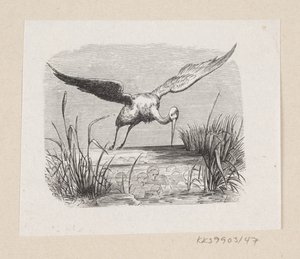Illustration till "Storkarna" i H.C. Andersen, "Sagor och berättelser", volym 1 av H.P. Hansen