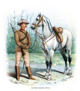 Viktorianska monterade gevär, c1890.