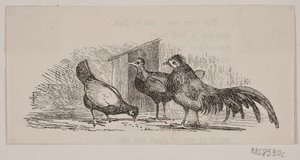 Tre kycklingar av H. C. Henneberg