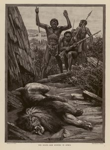 Lejonjakt i Afrika (gravyr) av H. Dixon