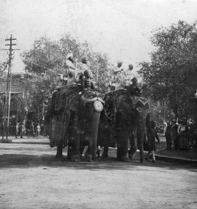 En punjabiprinsessa som rider på en elefant i en procession, Delhi, Indien, 1900-talet.