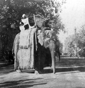 En elefant utanför järnvägsstationen i Delhi, Indien, 1900-talet.