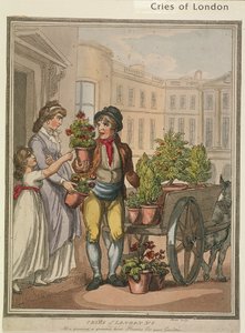 "Allt en växande, en växande, här är Flowers for you Gardens", skylt VI av Cries of London, 1799