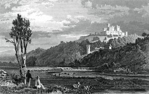 Coltsmans Castle, County Cork, c1800-1850. av H. Winkles
