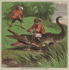 Peter Wilkins kamrat fångar en alligator (färg litho) av after Hablot Knight Browne