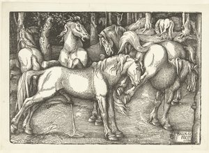 Grupp om sex kamphästar av Hans Baldung Grien