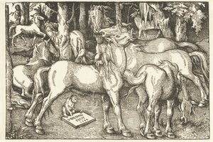 Grupp om sju hästar och en apa av Hans Baldung Grien