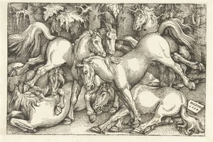 Grupp om sju kamphästar av Hans Baldung Grien