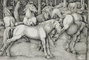  av Hans Baldung Grien