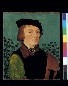 Porträtt av en man framför en rosenhäck (olja på trä) av Hans Baldung Grien