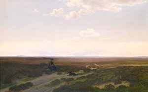 Vy över Pårup Moors nära Silkeborg, Jylland av Hans Friis