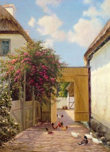 Fågel och ankor av Hans Hilse