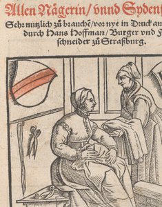 Ny modellbok för alla Nägerin och Sydenstickerns titelblad, 1r, 1556. av Hans Hoffman