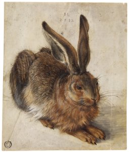 En hare av Hans Hoffmann