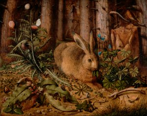 En hare i skogen, ca. 1585 (olja på panel) av Hans Hoffmann