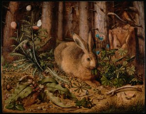 En hare i skogen, ca 1585