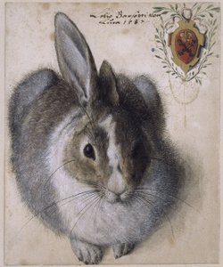 Tyska: En liggande hare, sedd framifrån, med en vapensköld av Hans Hoffmann