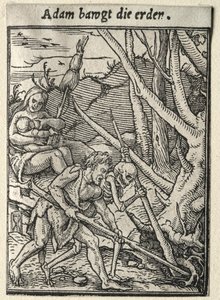 Dödsdansen: Adam Tilling the Ground av Hans Holbein