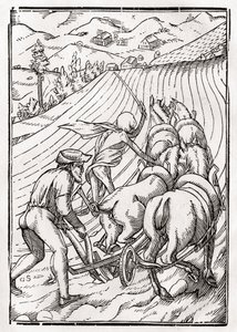 Döden kommer för bonden eller husbonden, graverad av Georg Scharffenberg, ur "Der Todten Tanz", utgiven i Basel 1843. av Hans Holbein der Jüngere