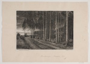 Regnig dag i granskogen av Hans Julius Fæster