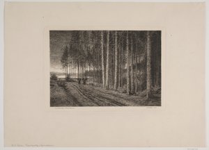 Regnig dag i granskogen av Hans Julius Fæster