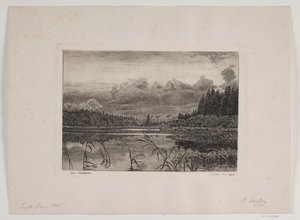 Sjön i granskogen av Hans Julius Fæster