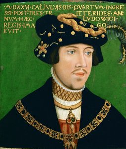 Porträtt av Ludvig II, kung av Ungern (1506-1526)