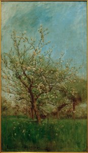 Blommande träd Uerdenbach
